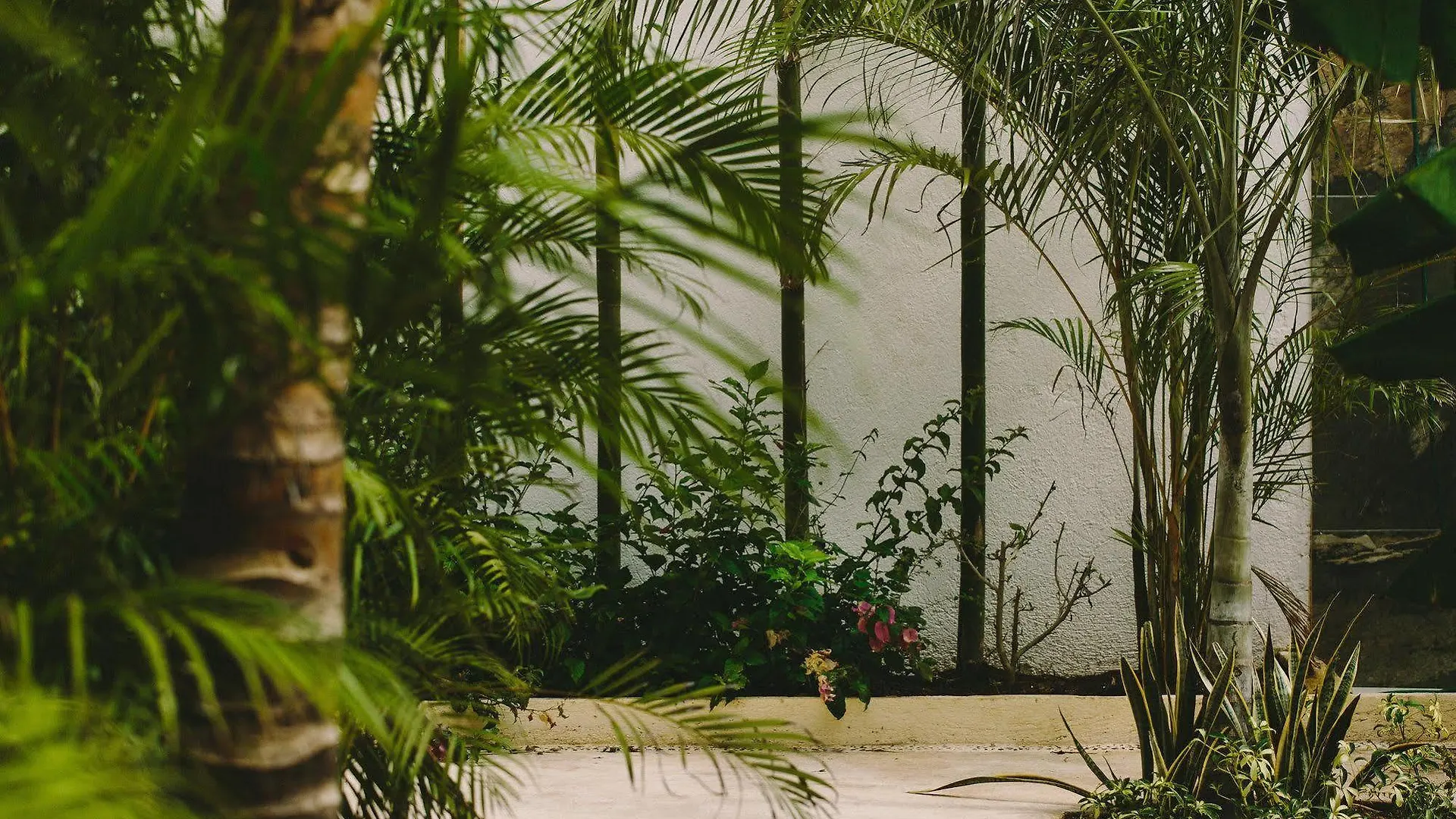 Hotel Boho Eco-Chic Boutique Resort Xetna